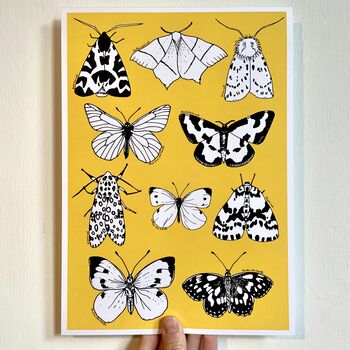British Moths And Butterflies Print On Yellow, 5 of 5
