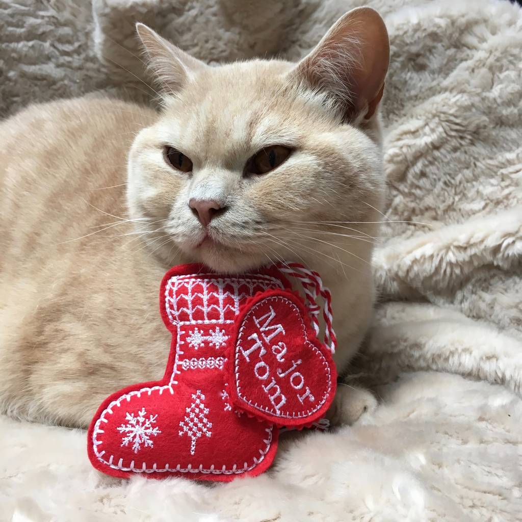 personalised handmade catnip toy stocking, cat toys by freak meowt