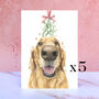 Pack Of Five Golden Retriever Christmas Cards, thumbnail 1 of 2