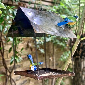 Hanging Bluetit Bird Feeder Art125, 4 of 9