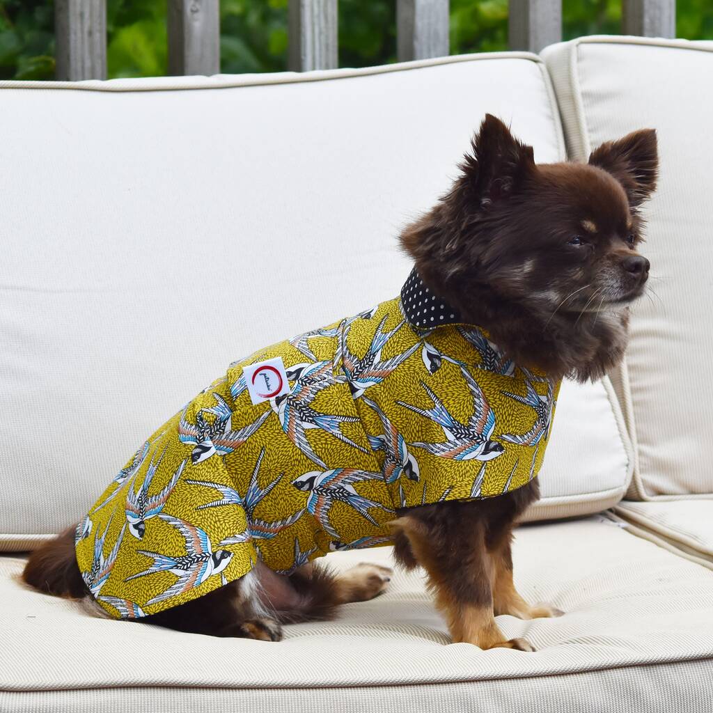 Dog Coat Luxury Designer By Petsuku