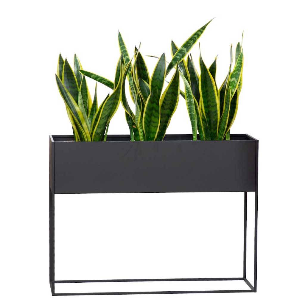 Black Very Long Metal Planter On Stand By Dezzanti