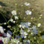 Gardening Gift For Her | Seeded Paper | Gardening Bracelet, thumbnail 3 of 7