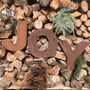 Personalised Home And Garden Decorations Gifts Presents, thumbnail 7 of 9