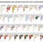 Personalised Muslim Quran Verse Wedding Gift 'He Has Placed Between You', thumbnail 4 of 4