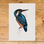 Kingfisher Giclée Art Print, thumbnail 4 of 4