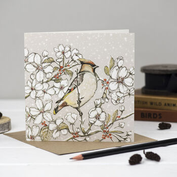 'Christmas In Flight' Mixed Pack Of 10 Cards, 9 of 10