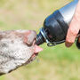 Engraved Dog Water Bottle Make It Personal, thumbnail 3 of 11