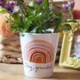 Earth Rainbow Plant Pot With Seeds, thumbnail 1 of 3