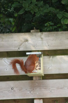 Pinewood Squirrel Nut Feeder Zinc Roof For Wildlife, 4 of 8
