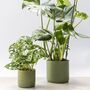 Handmade Eco Plant Pot | Dark Olive Green, thumbnail 2 of 6