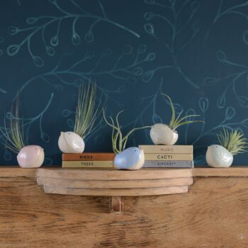 Bird Air Plant Holder In Pale Pink, 4 of 7
