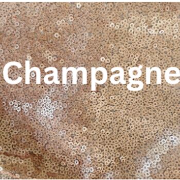 Christmas Sequin Placemats Pack Of Two, 6 of 7