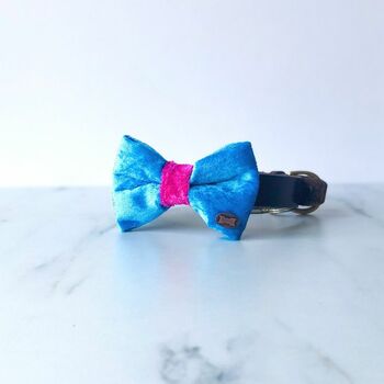 Pink And Blue Velvet Dog Bow Tie, 3 of 3