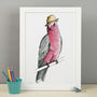 Galah In A Trilby Unframed Print, thumbnail 1 of 3