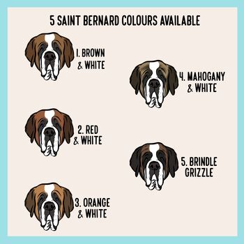 Saint Bernard Toddler T Shirt, 6 of 8