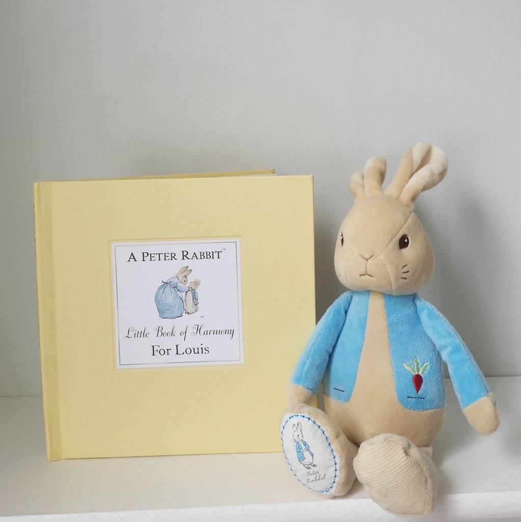 peter rabbit book and stuffed animal