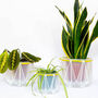 Origami Self Watering Eco Plant Pot: 15cm | Celery Cord, thumbnail 8 of 9