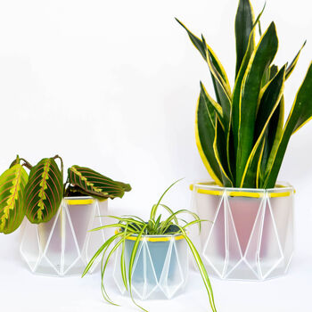 Origami Self Watering Eco Plant Pot: 15cm | Celery Cord, 8 of 9
