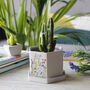 Anniversary Hexagon Plant Pot With Wildflower Design, thumbnail 4 of 4