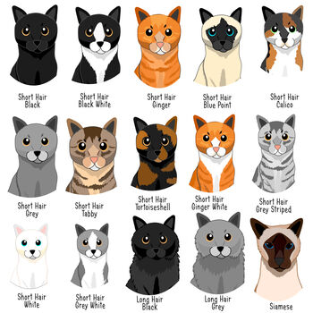 Cat Mum Personalised T Shirt Mother's Day Gift, 3 of 7