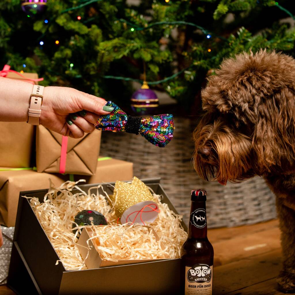 The Dog Christmas Eve Box, 1 of 12