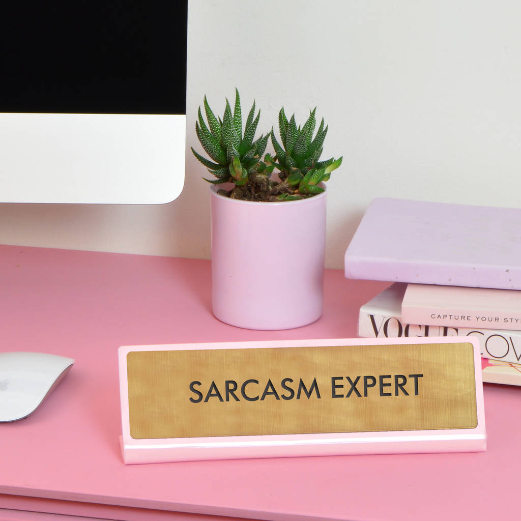 Sarcasm Expert Desk Plate Sign
