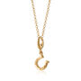 18ct Gold Lucky Horseshoe Charm Necklace, thumbnail 2 of 6