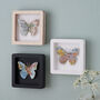 Personalised Miniature Map Butterfly 50th Birthday Gift, thumbnail 3 of 4