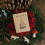 10 Recycled Christmas Tree Seed Packet Christmas Cards, thumbnail 1 of 1