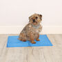 Blue Cooling Mat For Dogs, thumbnail 5 of 7