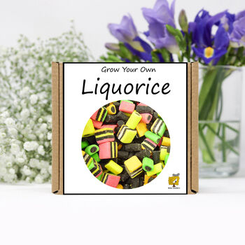 Gardening Gift For Him Her. Grow Your Own Liquorice, 2 of 2