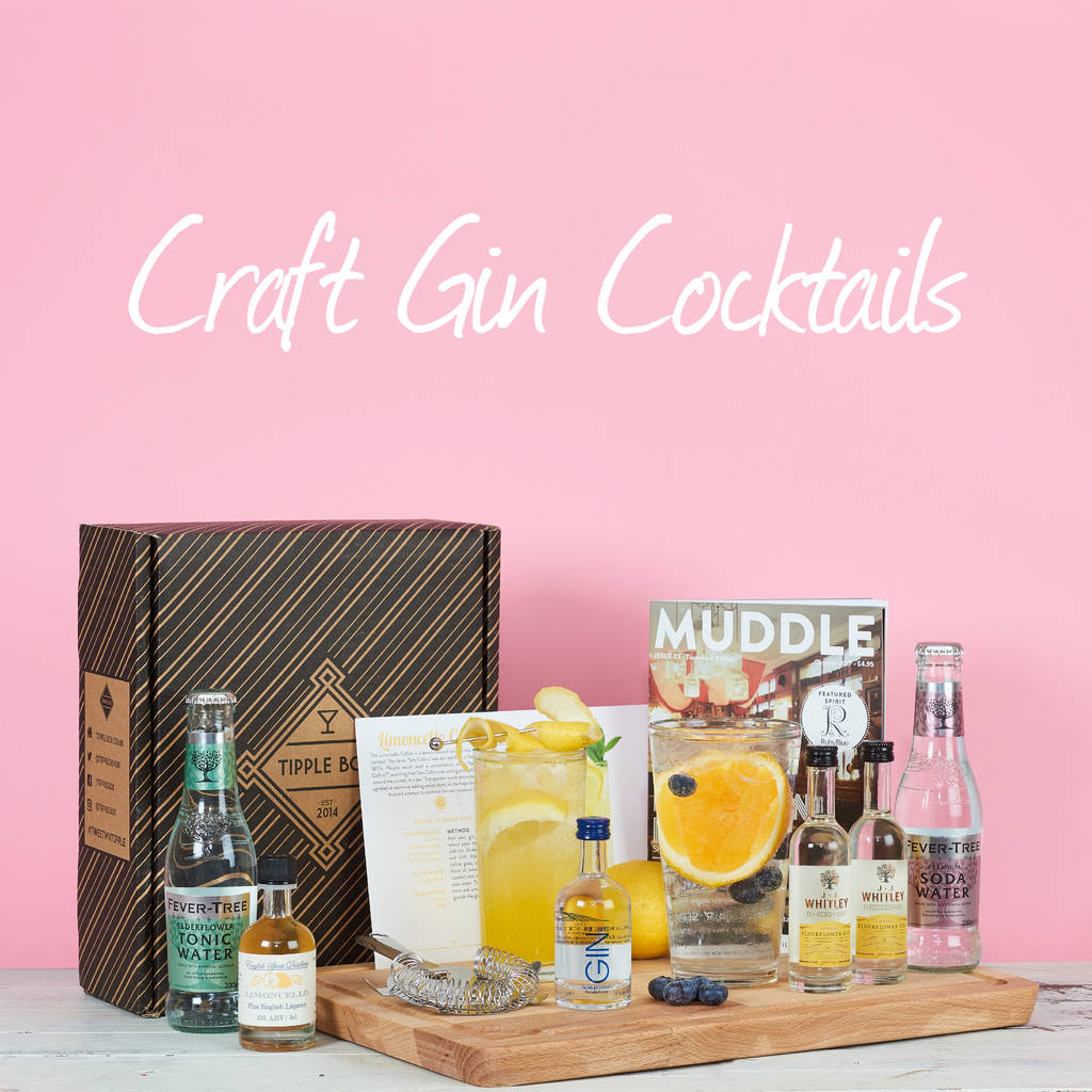 craft gin cocktail set by tipple box
