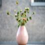 Vase Druba Apricot Colour By Dut Z, thumbnail 5 of 8