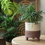 Ceramic 'Arnold' Planters In Pink, thumbnail 4 of 4