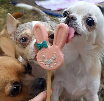 Easter Dog Treats Doggy Chocolate, Biscuits, And Chews, 9 of 11