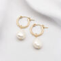 Sia 14ct Solid Gold Pearl Hoop Earrings, thumbnail 1 of 2