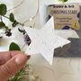 Christmas Star Plantable Paper Grow Kit, thumbnail 2 of 5