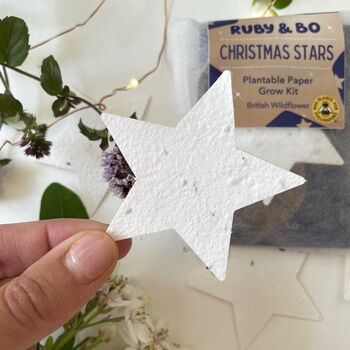 Christmas Star Plantable Paper Grow Kit, 2 of 5