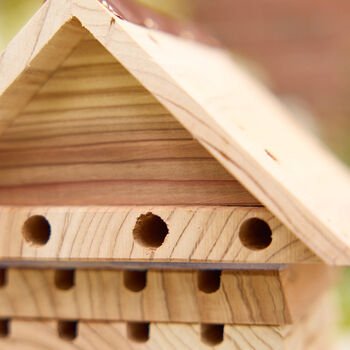 Wooden Garden Bee House, 3 of 4