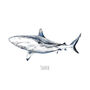 Shark Personalised Watercolour Art Print, thumbnail 2 of 3