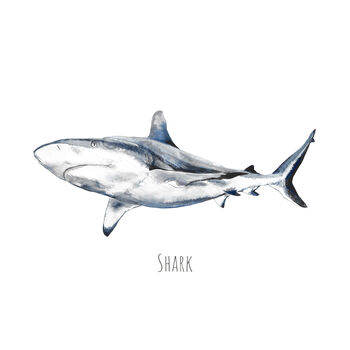 Shark Personalised Watercolour Art Print, 2 of 3