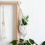 Recycled Macramé Double Plant Hanger, thumbnail 1 of 4