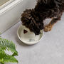 Dog Bowl With Fluffy Dog, thumbnail 4 of 5