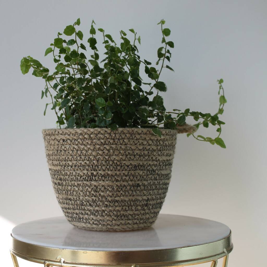 Black Sandstone Rope Plant Pot By Knotsy Brighton