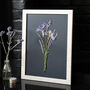 A3 Pressed Flower Art – Twilight Iris Botanical Frame In Sand, thumbnail 1 of 7