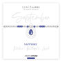 September Sapphire Birthstone Charm Bracelet Gift, thumbnail 3 of 4