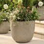 Round Ficonstone Garden Planter, thumbnail 3 of 5