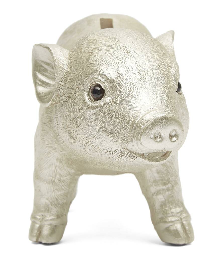 Silver Piggy Money Box By Loula and Deer