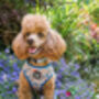 Shipwrecked Nautical Dog Harness, thumbnail 11 of 11
